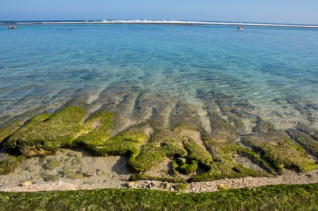 Vacances d&#39;été vue sur la plage