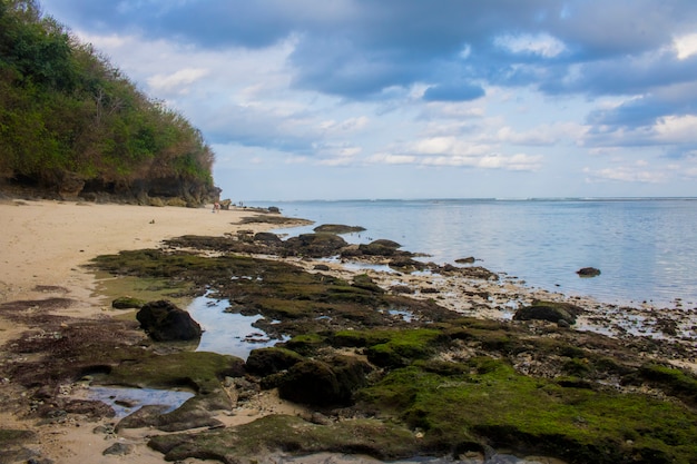 Vacances d&#39;été vue sur la plage