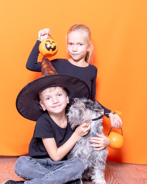 Vacances en famille d'Halloween. Une fille tenant un panier en forme de citrouille avec des bonbons et un garçon dans un chapeau de sorcier et un chien sur fond orange. Fun Halloween effrayant. Trick or Treat tradition
