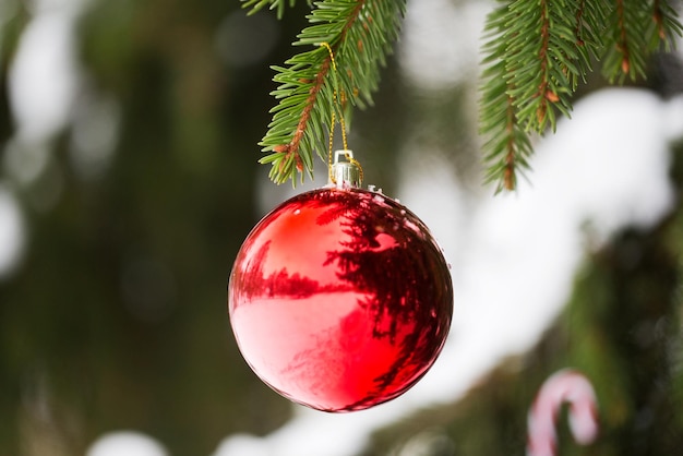 vacances d'hiver et concept de décoration - boule de noël rouge sur une branche de sapin recouverte de neige