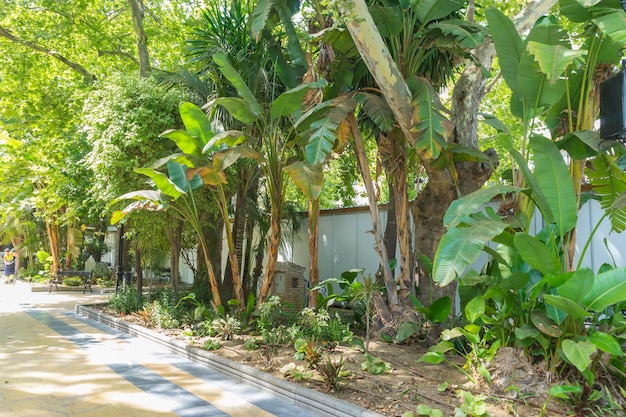 Vacances, jardins d'été luxuriants à Marbella, Andalousie Espagne