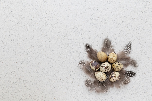 Vacances de Pâques traditionnelles oeufs de caille gris, brun dans un nid de plumes