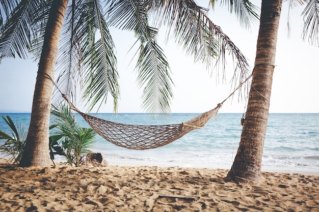 Vacances de plage d&#39;été