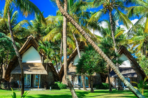 Vacances tropicales exotiques, bungalows sous les palmiers. Ile Maurice