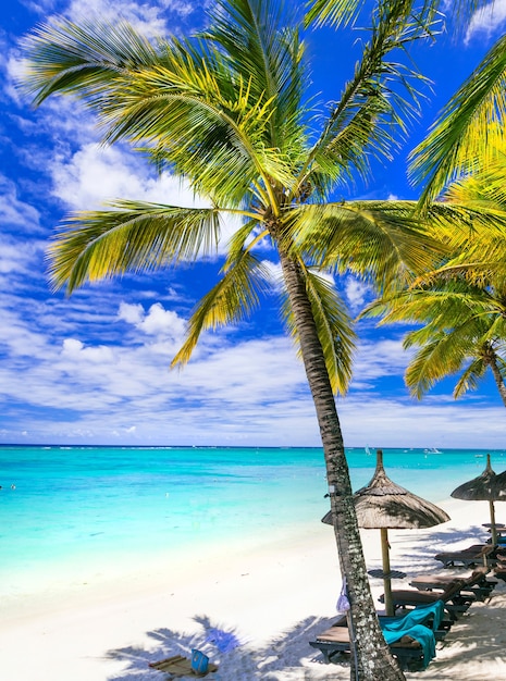Vacances tropicales relaxantes - belles plages de l'île Maurice