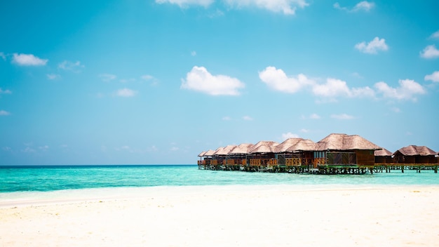 Vacances vacances d'été fond d'écran ensoleillé plage paradisiaque des Caraïbes tropicales avec du sable blanc aux Seychelles Praslin île Thaïlande style avec palmiers
