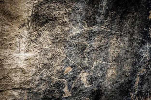 Photo des vaches sur des pétroglyphes en pierre exposition de pétroglys à gobustan près de bakou, en azerbaïdjan