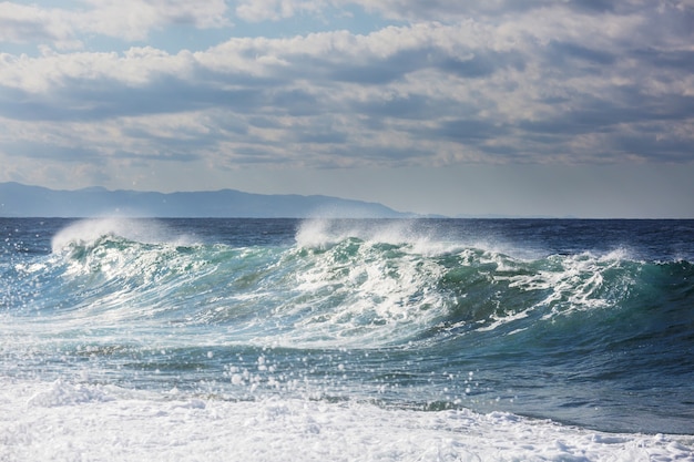 Vague bleue sur la plage.