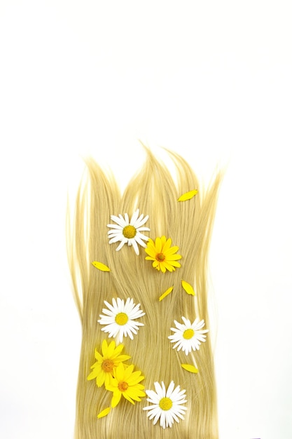 Vague de cheveux blonds brillants avec des fleurs de camomille et de calendula sur blanc Concept de spa de soins capillaires