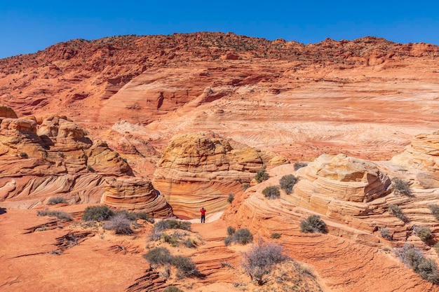 La vague Coyote Buttes Arizona États-Unis