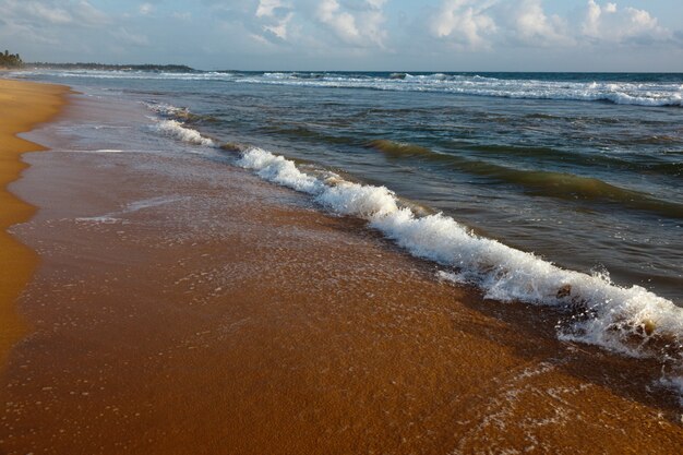 Vague déferlant sur le sable