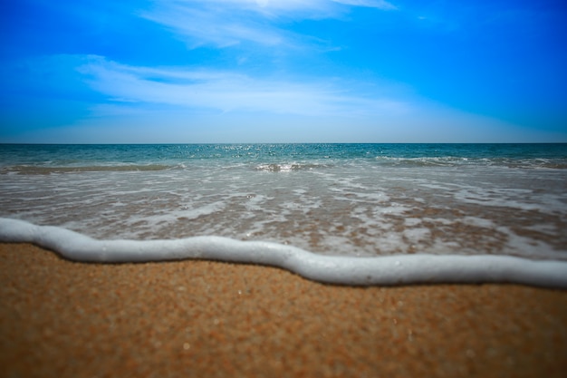 Vague douce sur la plage de sable fin.