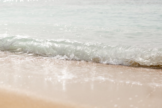 Vague éclaboussant sur une plage. fermer