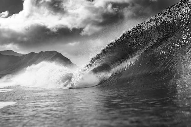 Une vague à Hawaï