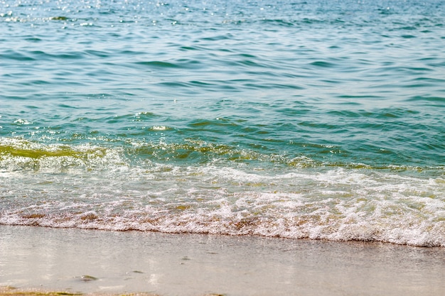 La vague de la mer apporte de la mousse et des algues sur la plage.