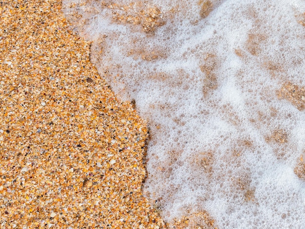 Vague de mer de fond horizontal de plage et roche de coquille