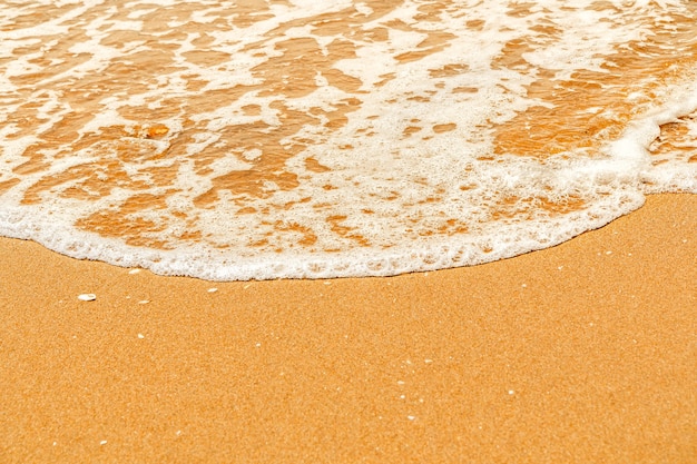 Une vague de mer avec de la mousse blanche éclabousse le rivage de sable jaune.