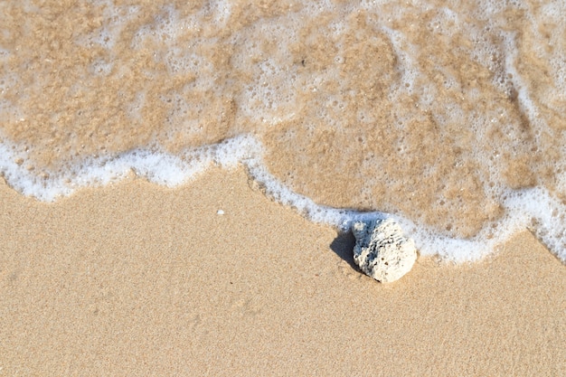 Photo vague molle sur la plage de sable avec corail blanc