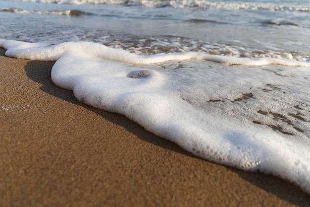 Vague avec de la mousse sur la côte de la mer.