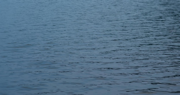 Vague d'ondulation de la surface de la mer de l'océan