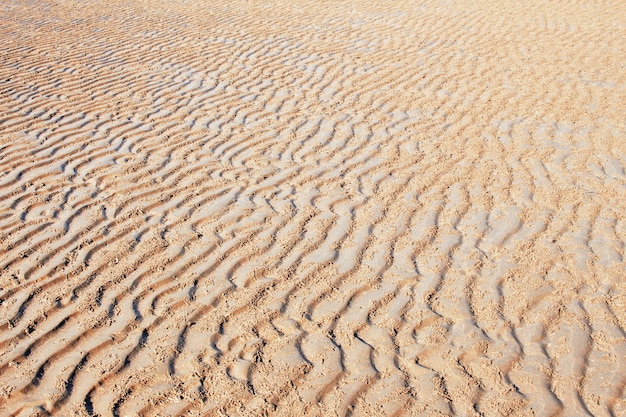 Vague de plage en mer.