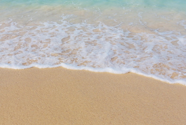 La vague sur la plage