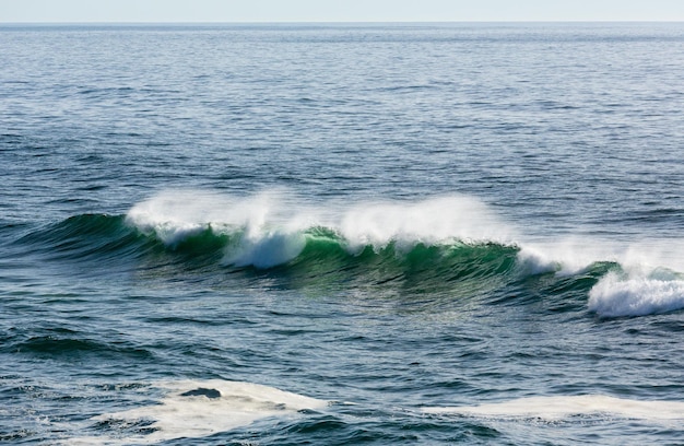 Vague de surf de mer avec mousse et éclaboussures. Vue depuis la plage.