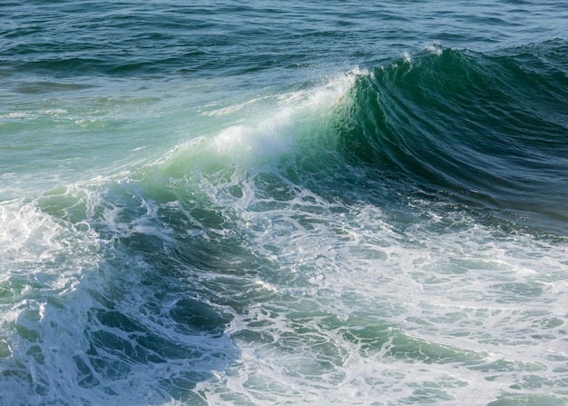 Vague de surf de mer Vue de la plage