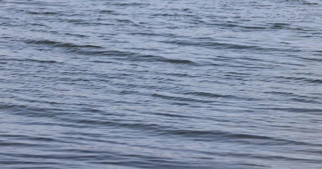 une vague sur la surface de l'eau par temps ensoleillé