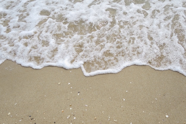 Les vagues battent à la plage avec des fragments de coquille. Concept de fond de nature.