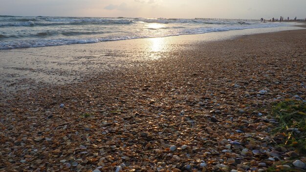 Des vagues calmes roulent sur le rivage sablonneux Coucher de soleil sur la mer ou l'océan Paradis touristique Voyage Plage Thème