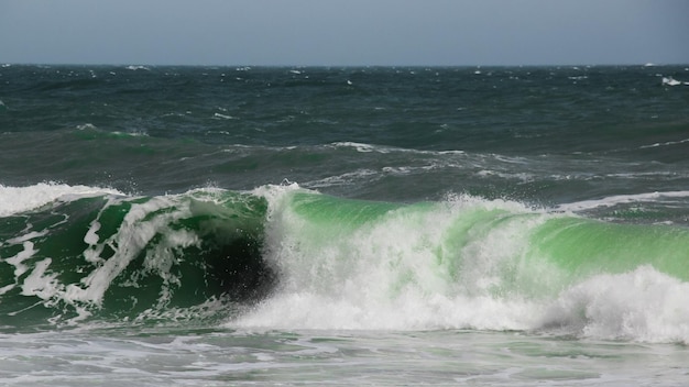 vagues colorées de l'océan