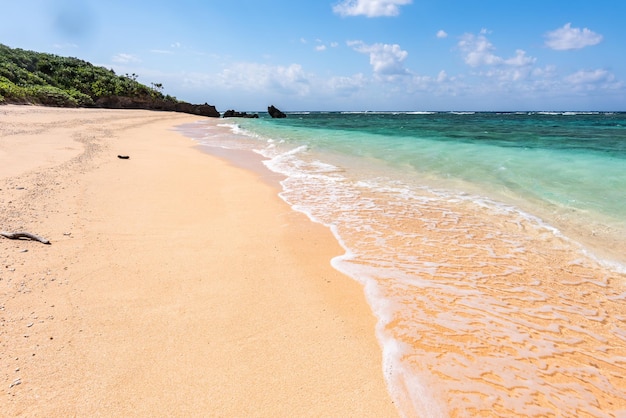 Photo vagues cristallines se brisant le long du rivage sur une plage idyllique par une journée ensoleillée