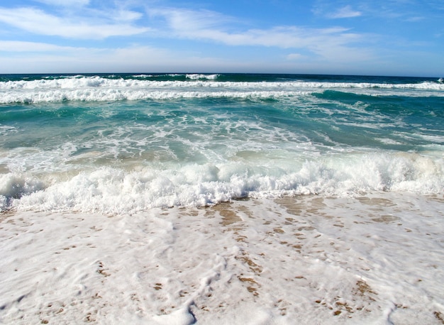 Vagues déferlant sur le rivage de la mer