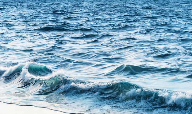 Photo des vagues sur l'eau des éclaboussures d'eau sur un fond blanc