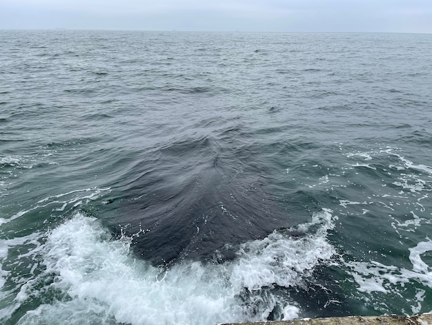 Vagues sur les eaux de la mer Noire