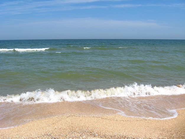 Vagues marines sur le sable du littoral