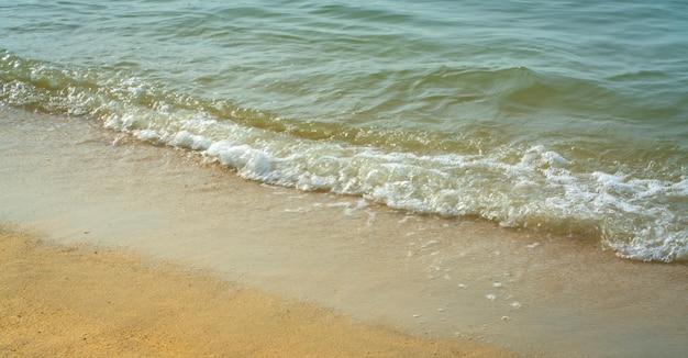 Vagues de la mer faisant de la mousse blanche s'écraser sur le rivage