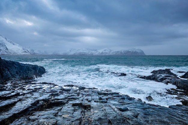 Vagues de la mer de Norvège sur la côte rocheuse des îles Lofoten, Norvège