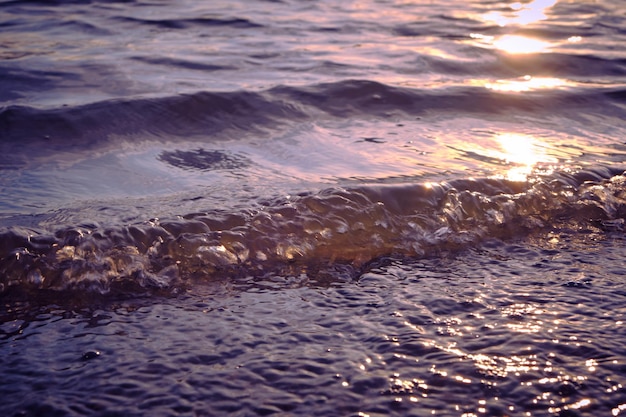 Vagues et mousse sur la plage au coucher du soleil.