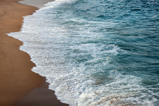 Des vagues en mousse se brisant sur la plage