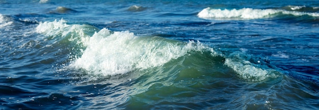 Vagues sur le panorama de la mer