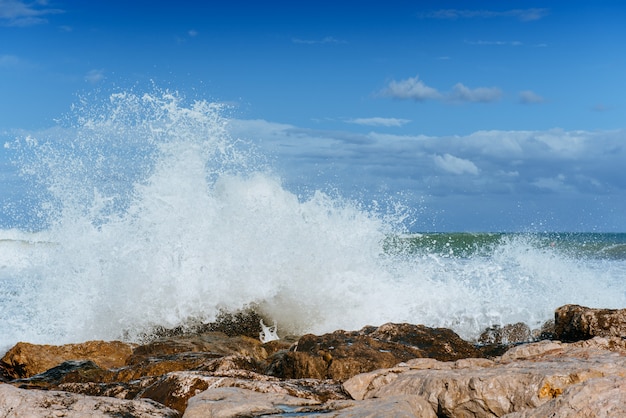 Vagues sur le paysage marin