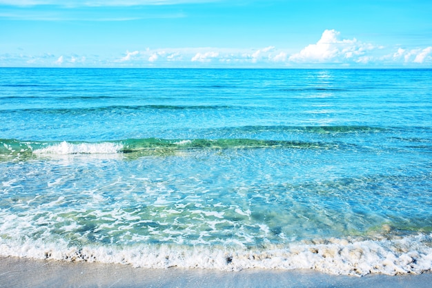 Vagues sur la plage avec de belles.