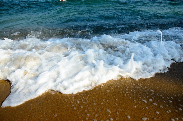 Les vagues qui éclaboussent sur le rivage