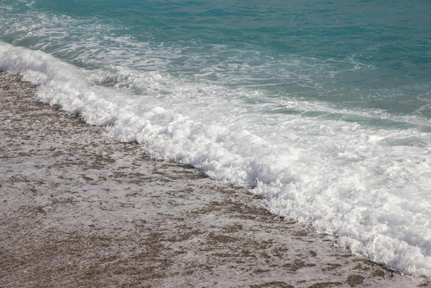 Des vagues s'écrasent sur le rivage