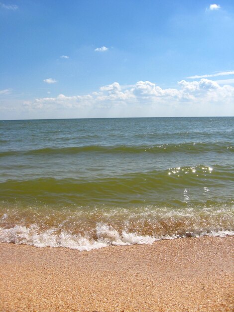 Les vagues sur le sable de la côte