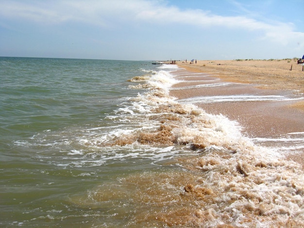 Les vagues sur le sable de la côte