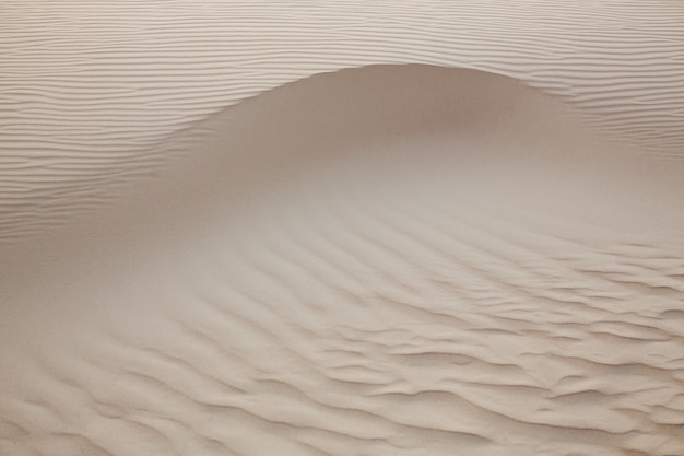 Vagues de sable Texture Dunes du désert