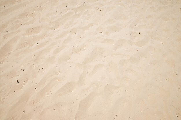 Des vagues de sable